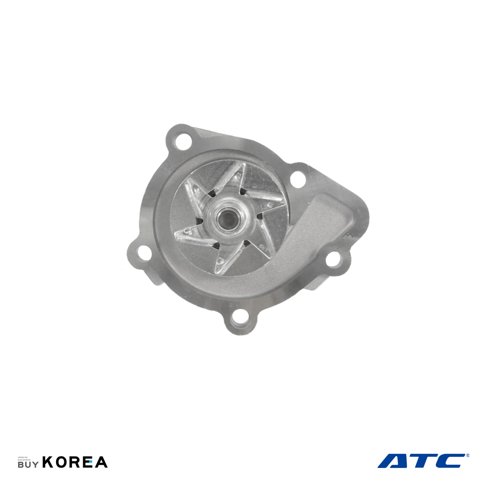 25100-25002 Kia Rondo Auto Top Water Pump